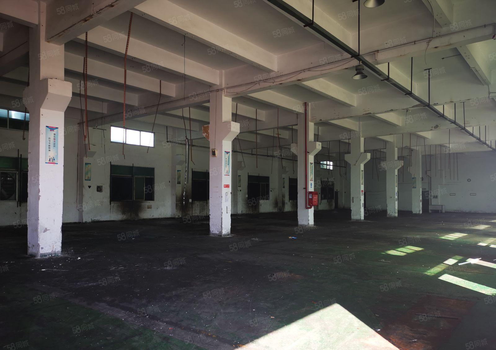 塘厦平山高速口，红本独院厂房整租16万