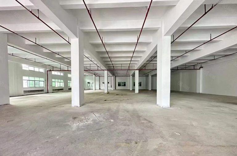 塘厦四村全新厂房出租一楼1950平好招工形象好生活配套齐全