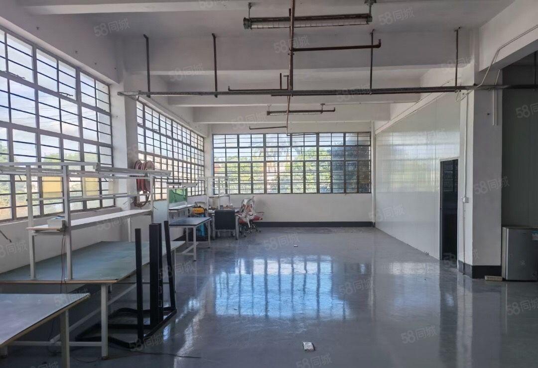 新出沙湖楼上520平租19元，精装修，挺车位充足