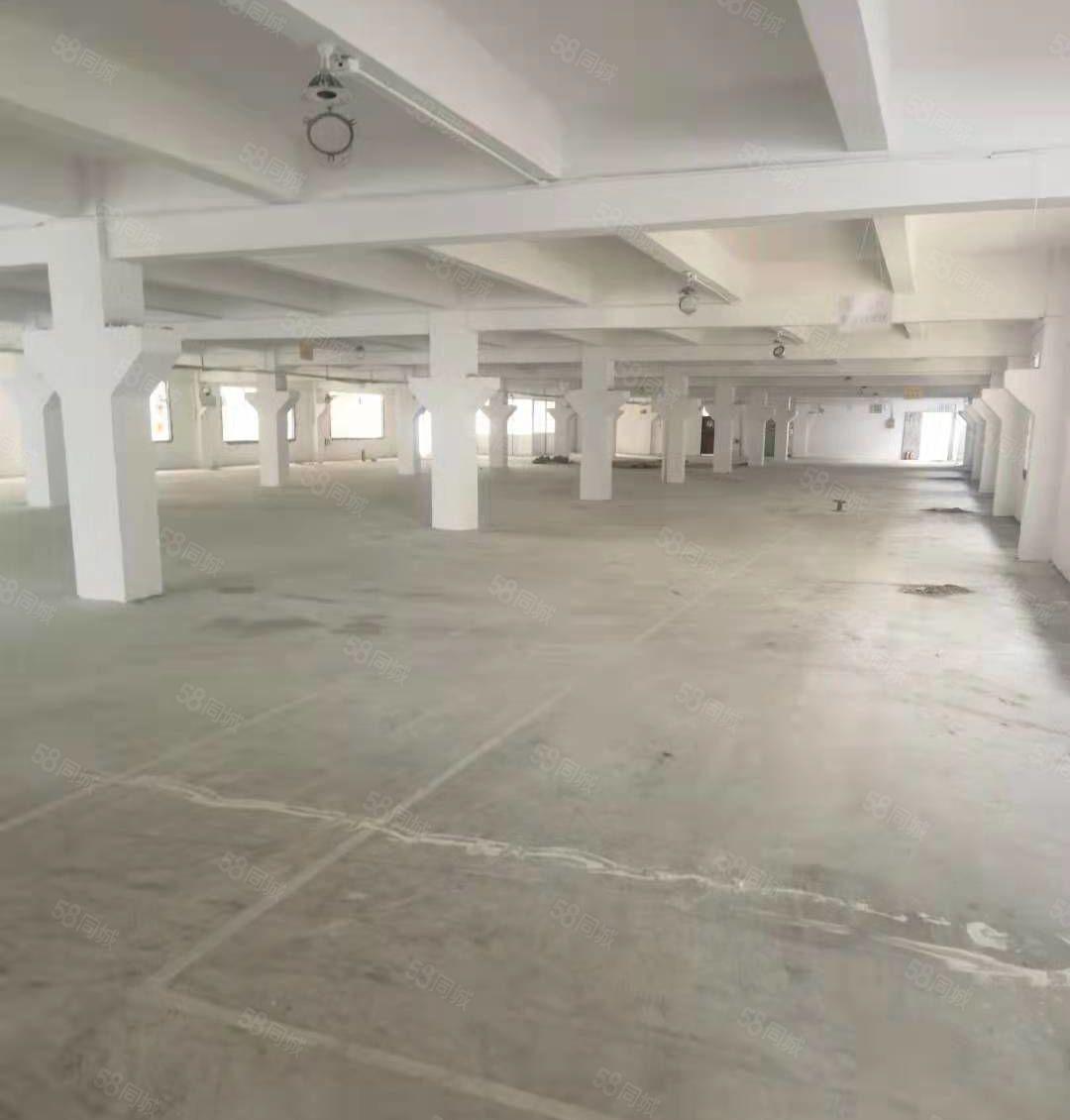 塘厦镇莞深高速旁新出原房东独院30000平，现成航车天然气管