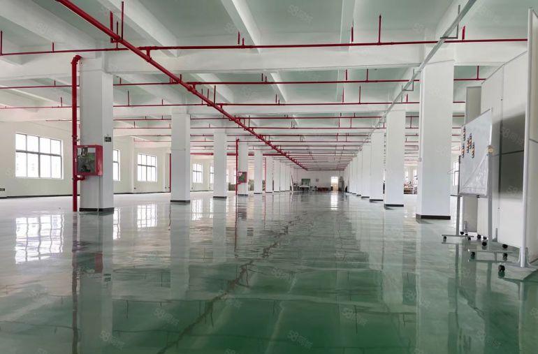 塘厦大坪高速出口原房东红本厂房出租标准一楼2800平卸货平台