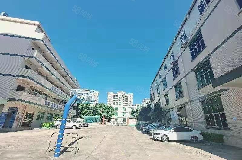 塘厦外环高速口楼上1200平厂房出租现成装修水电，园区空地大