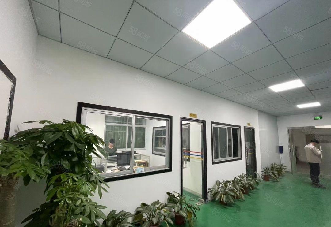 塘厦镇石鼓新出楼上480平米标准厂房出租