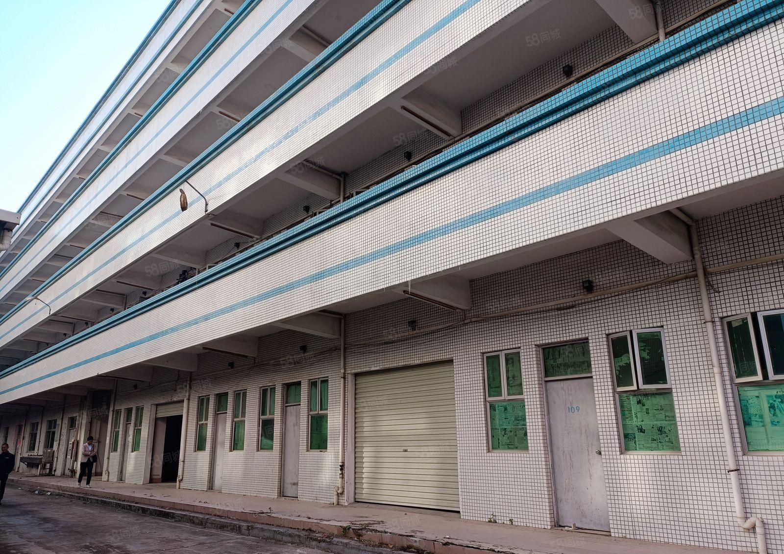 塘厦大坪新出独院厂房12000平出租，标准钢构一起，高速路近