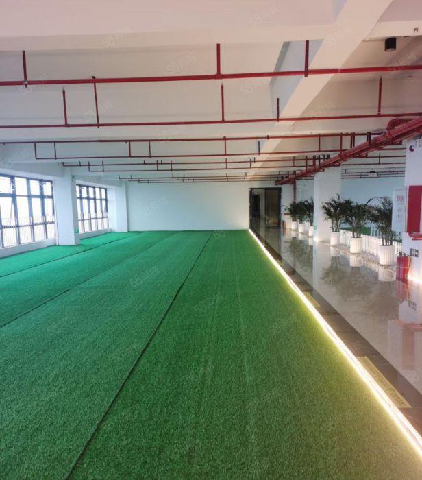 8元塘厦大坪原房东全新厂房1600平方一层实际面积出租可分租