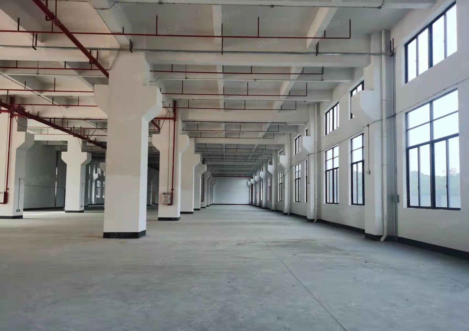 塘厦科苑城一手房东独院32000平单层3000平厂房仓库出租