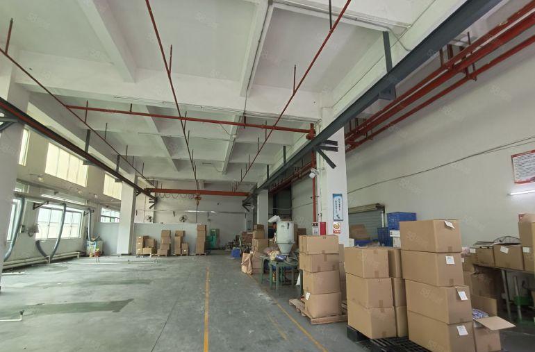 塘厦石鼓新出标准一楼带行车厂房700平，带消防喷淋办公拎包入