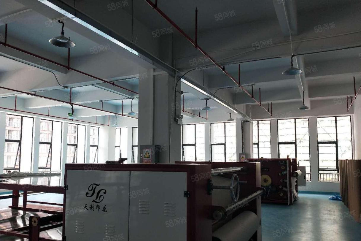 塘厦田心大型工业区小面积厂房 靠近两个高速出入口