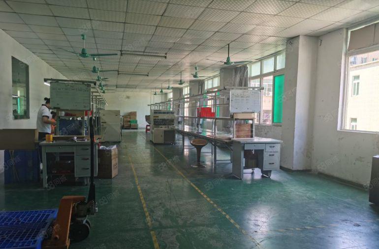 塘厦莲湖工业区独院厂房仓库850平方低价出租主干道旁易招工