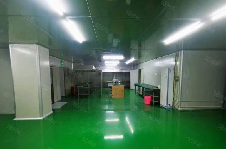 低价独院厂房   总面积10000平 空地超大 形象好