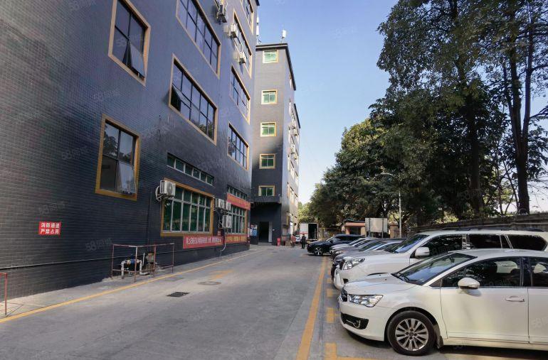 15元租塘厦大坪厂房出租花园式5000平方100平起租