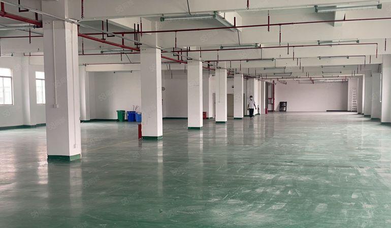 塘厦田心2楼精装修1760平低价出租有地坪漆消防喷淋车间敞亮