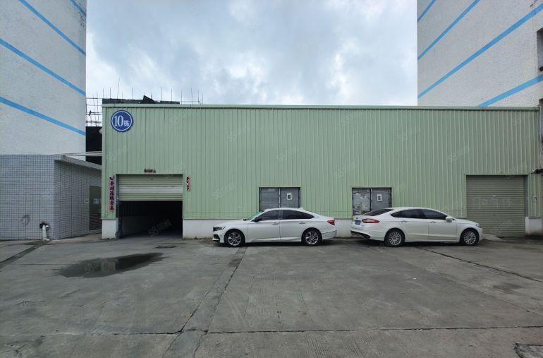 塘厦镇新行政中心区原房东滴水7米钢构450平