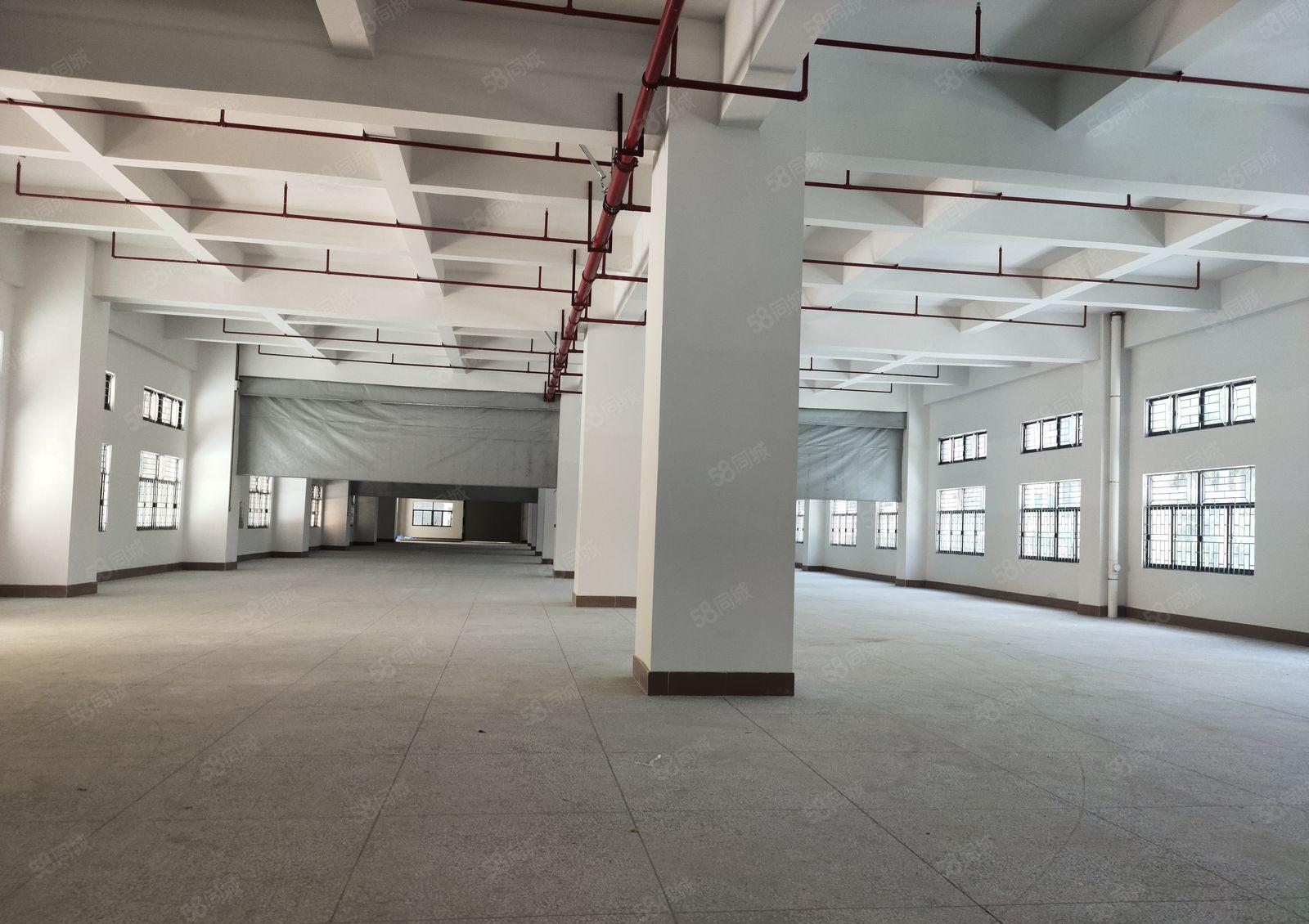 东莞市塘厦镇林村新出独院21900平，基础设施齐全，低价甩租