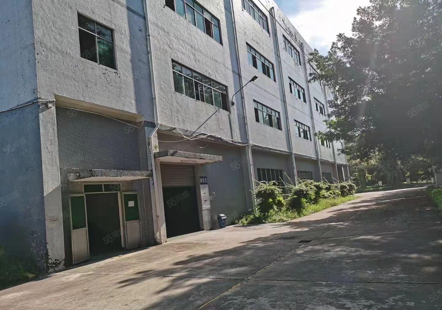 东莞塘厦桥陇原房东标准厂房11700平方厂房出租