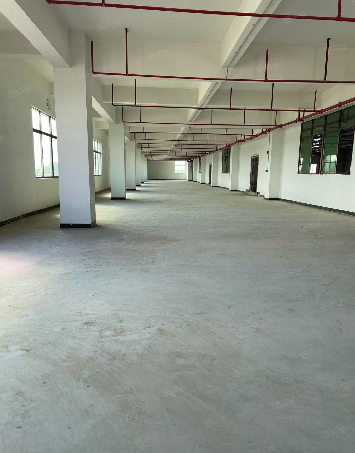 塘厦全新厂房5000平大小可分租，带消防喷淋，原房东租