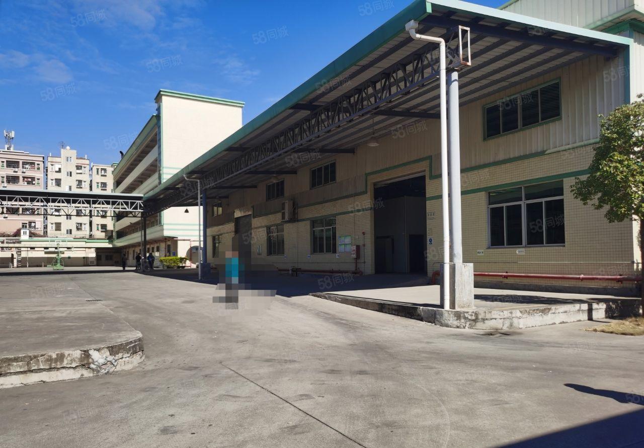 塘厦镇诸佛岭新出独院厂房4650出租可分租