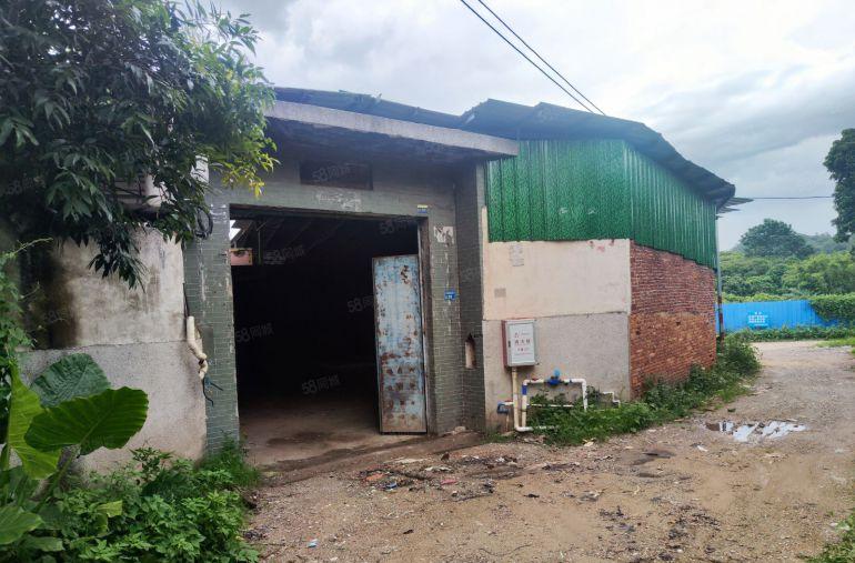 东莞市塘厦镇500平方偏僻小独院钢构可做小污染。本地佬急租