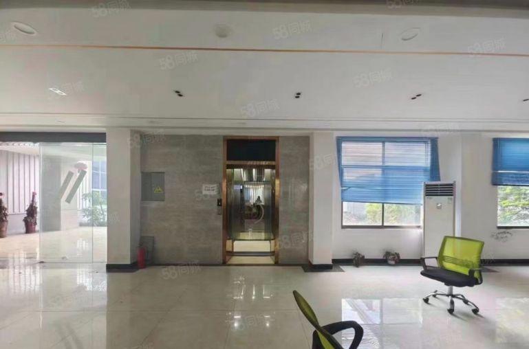 大坪高速单一层独院总面积9000平，配套豪华装修办公楼