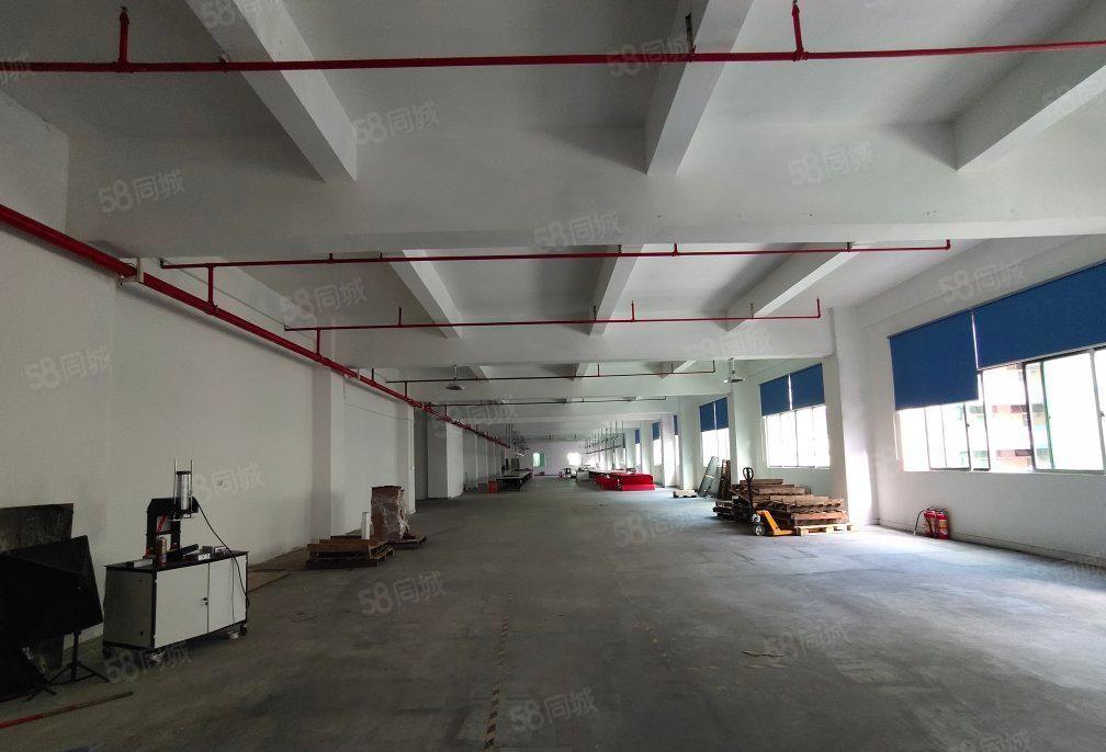 塘厦沙湖独栋标准厂房1000平，现成装修无转让费用，房东本地