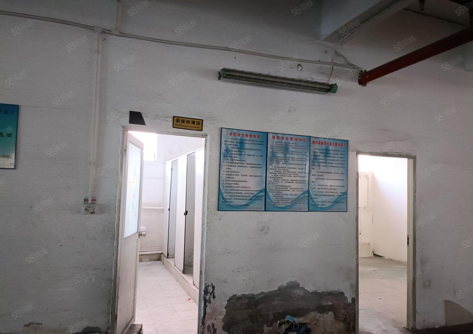 塘厦科苑城新空出楼上三层9000平，园区空地大，高速近