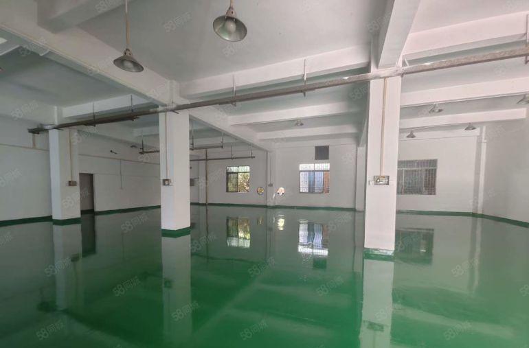 塘厦四村标准一楼580平小面积仓库厂房出租，全新精装修