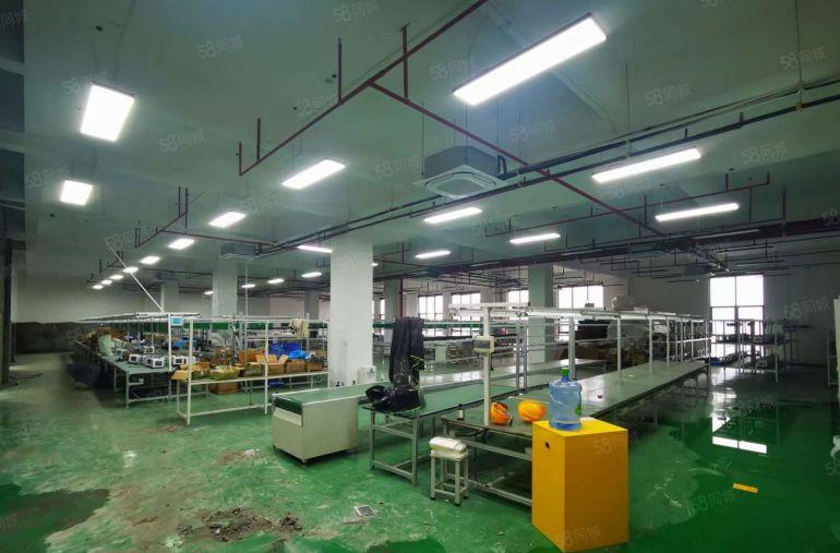 精装塘厦园区标准厂房出租2000平高10米全新装修现成办公室