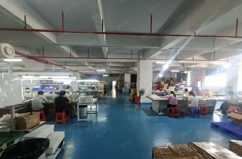 塘厦外环高速楼上1650平实际面积，现成办公室装修厂房出租