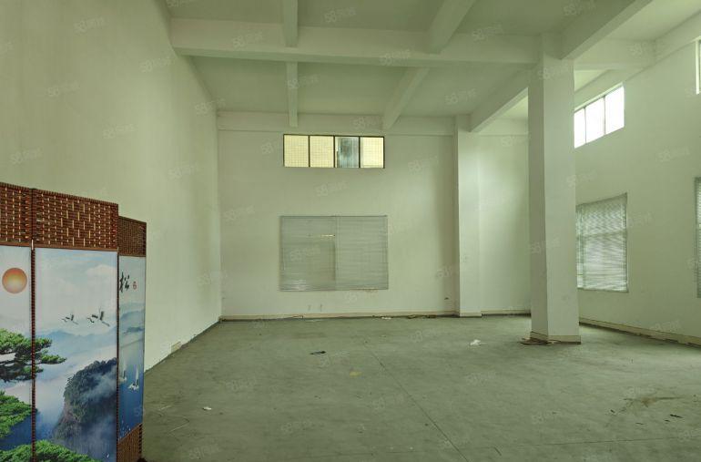 田心标准一楼260平方特价15元高度6米货车9.6米直达门口