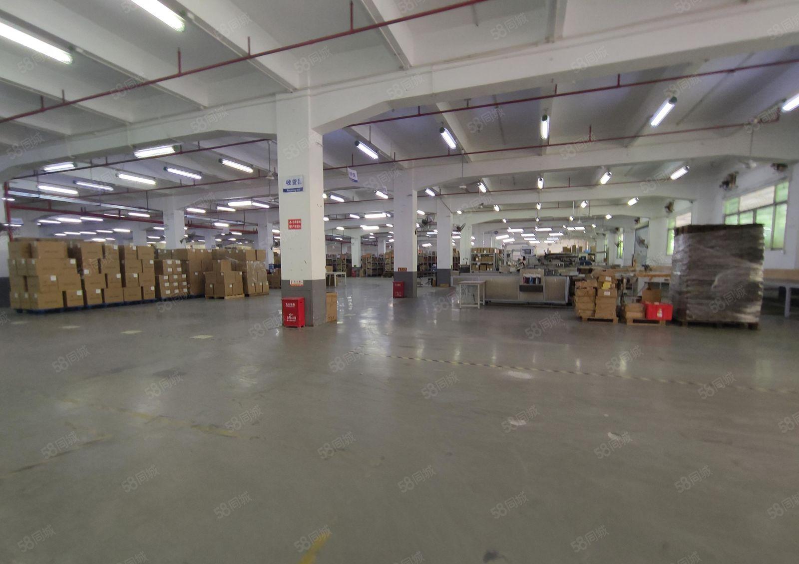 塘厦高速口价格美带卸货平台一楼1000平，丙二类消防仓库厂房