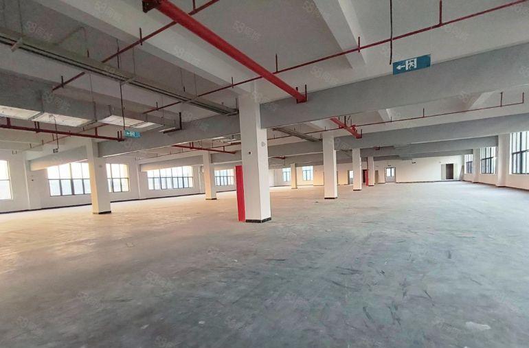 塘厦尾盘原房东急租一楼9米1000平起分租厂房电商仓库出租