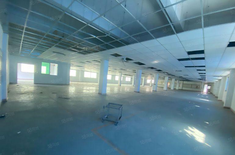 低价空地大塘厦168工业区新厂房装修出租电梯出租300起分组