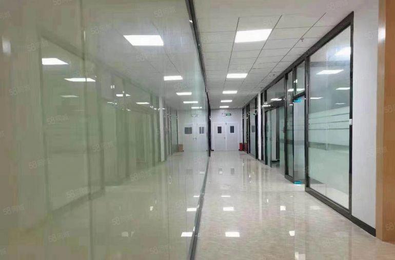 塘厦沙湖靠近观澜新出原房东楼上3500平厂房仓库出租，交通好