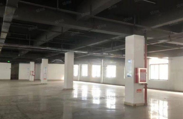 沙湖花园式红本厂房出租1500平2楼，证件齐全，可办环评