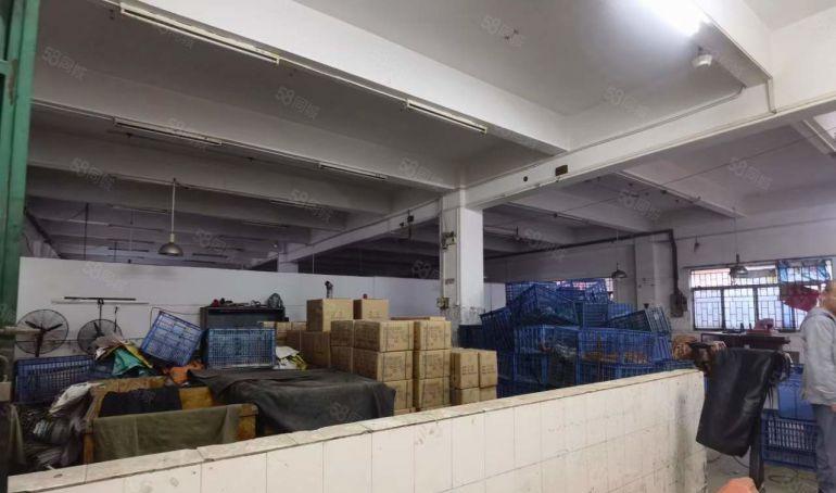 塘厦林村三层小独院5200平出租，有宿舍办公楼，空地大好招工