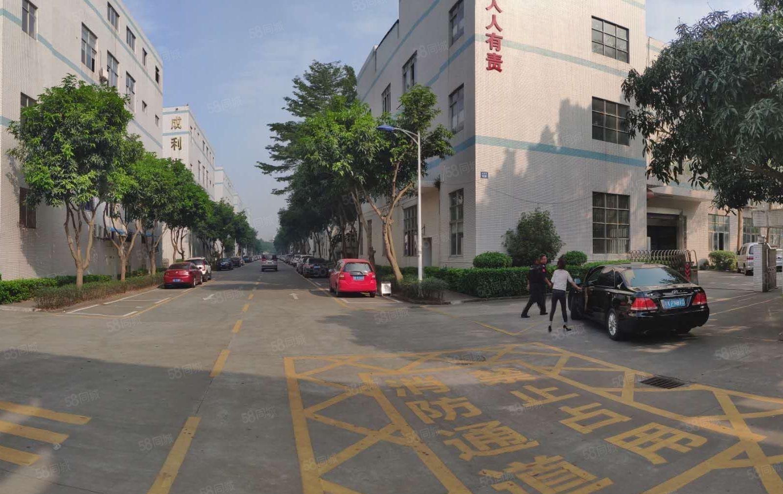 塘厦科苑城原房东厂房出租， 单层面积1950，可分租！