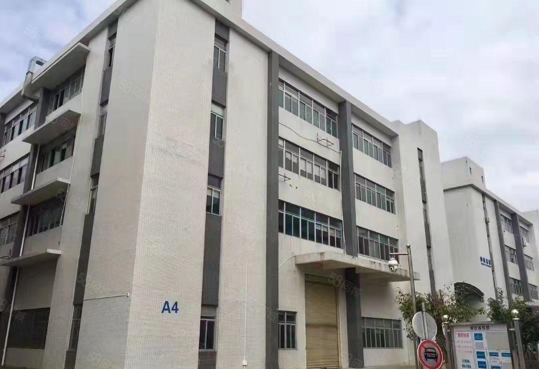 东莞塘厦四村新出标准厂房12000平方出租