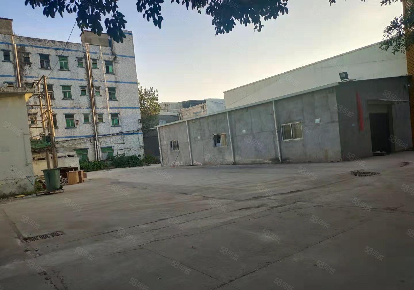 塘厦莲湖独院厂房出租8100平现成水电装修办公室基础设施齐全