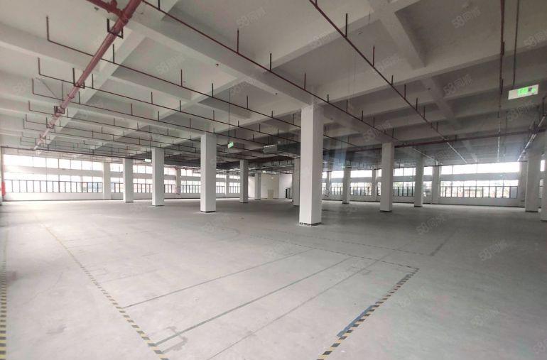 塘厦高速出口标准一楼2800平方，滴水6米，空地大