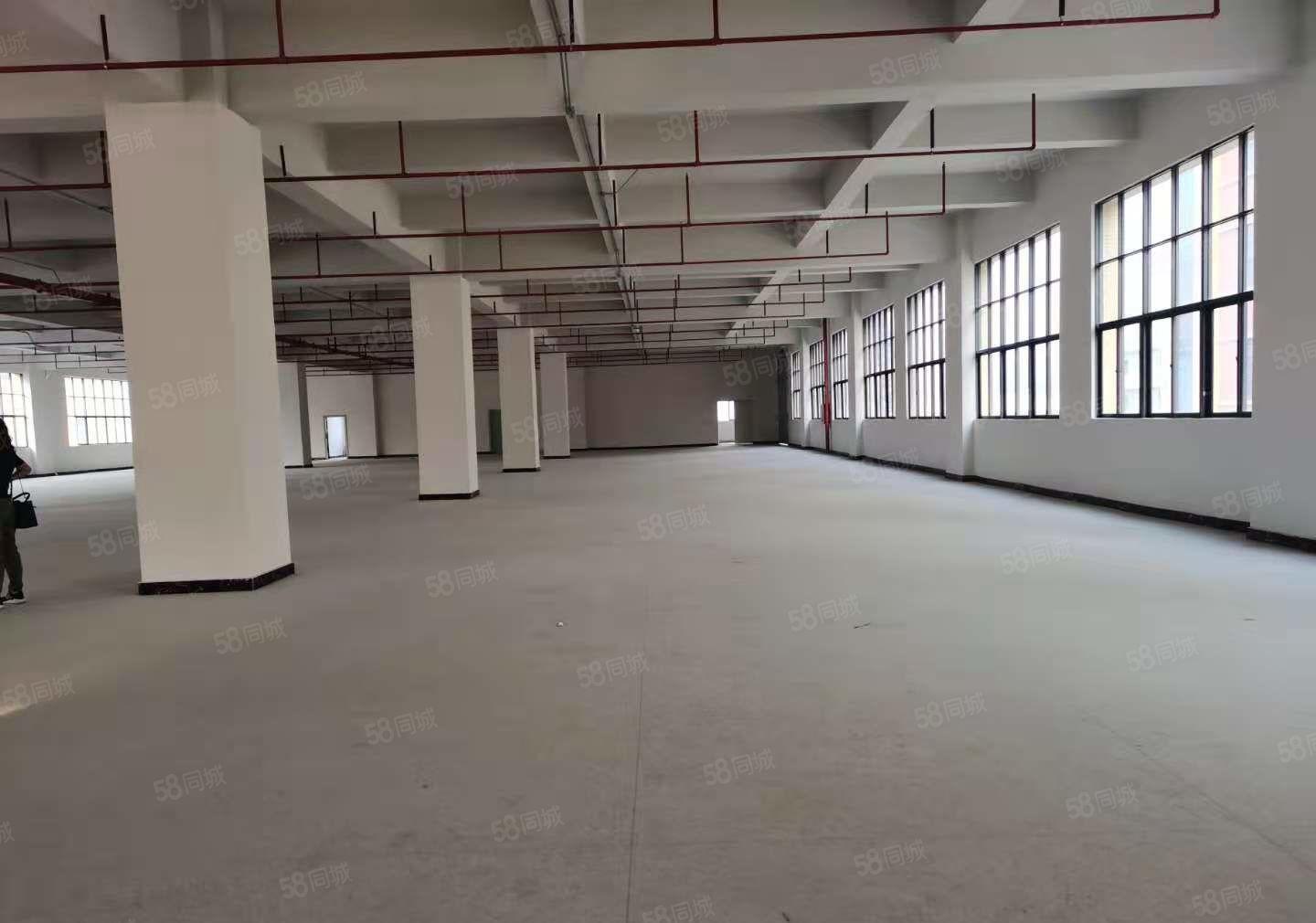 塘厦沙湖原房东自建红本厂房2万平单层3000平厂房仓库出租