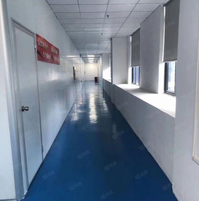 塘厦石马无尘车间480平带精装修厂房仓库出租