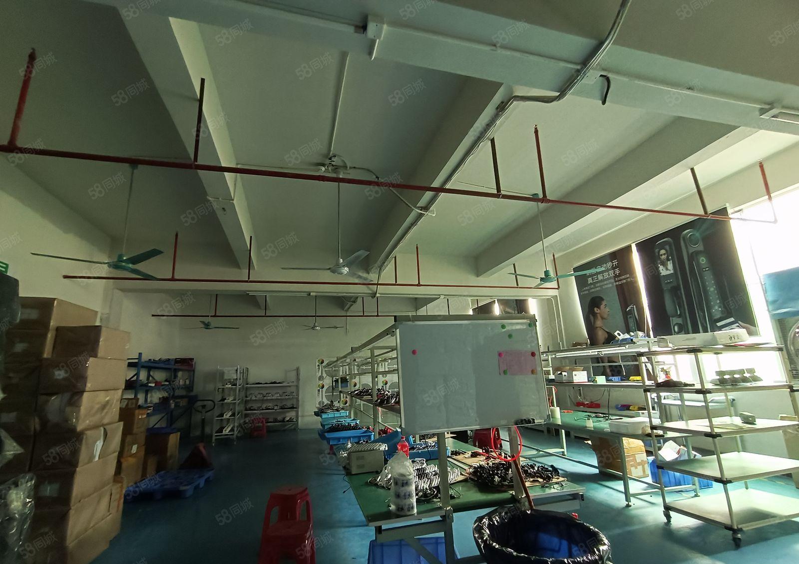 塘厦石鼓新出楼上500平带装修，现成办公室，可低价甩