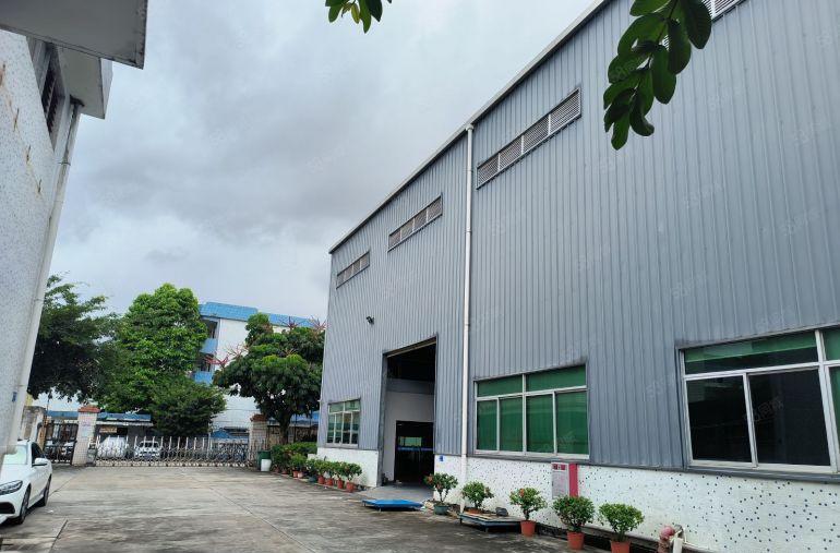 塘厦蛟乙塘钢构独院3180平方，10米高带牛角有现成办公室