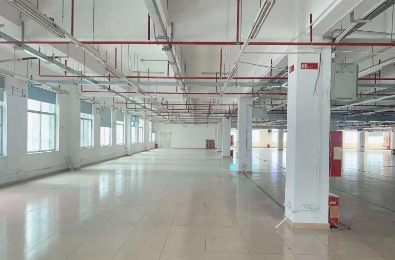 塘厦田心全新厂房1楼1480租27二楼1480租19