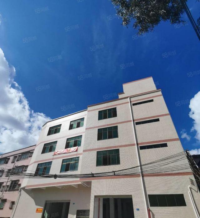 田心标准一楼260平方特价15元高度6米货车9.6米直达门口