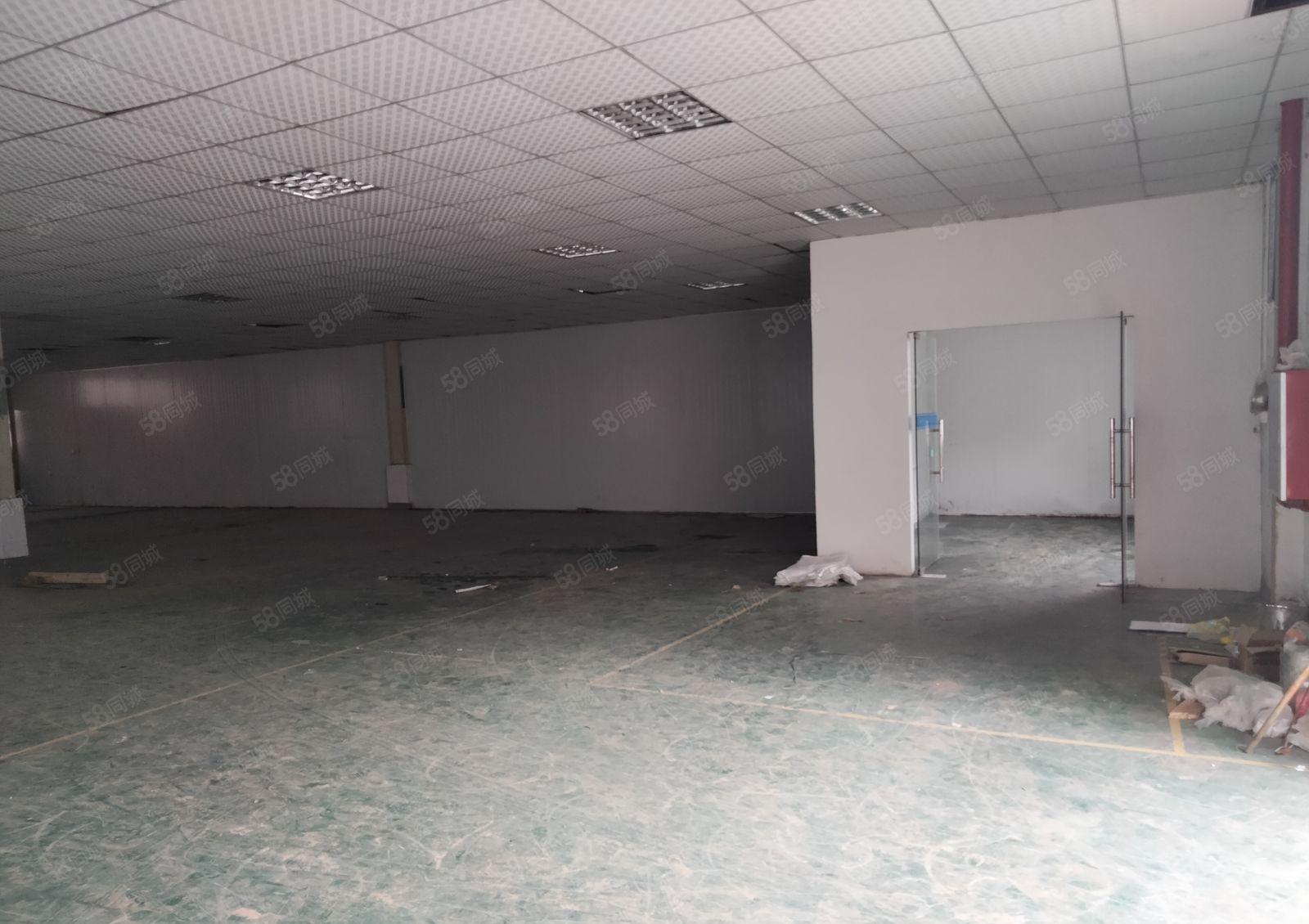 塘厦镇莲湖原房东单一层500平方