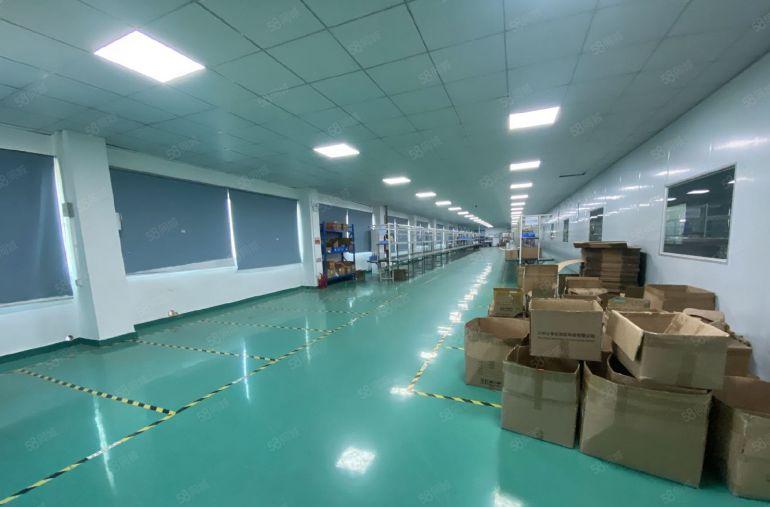 精装修电子车间1300平方！无公摊！现场实拍图片