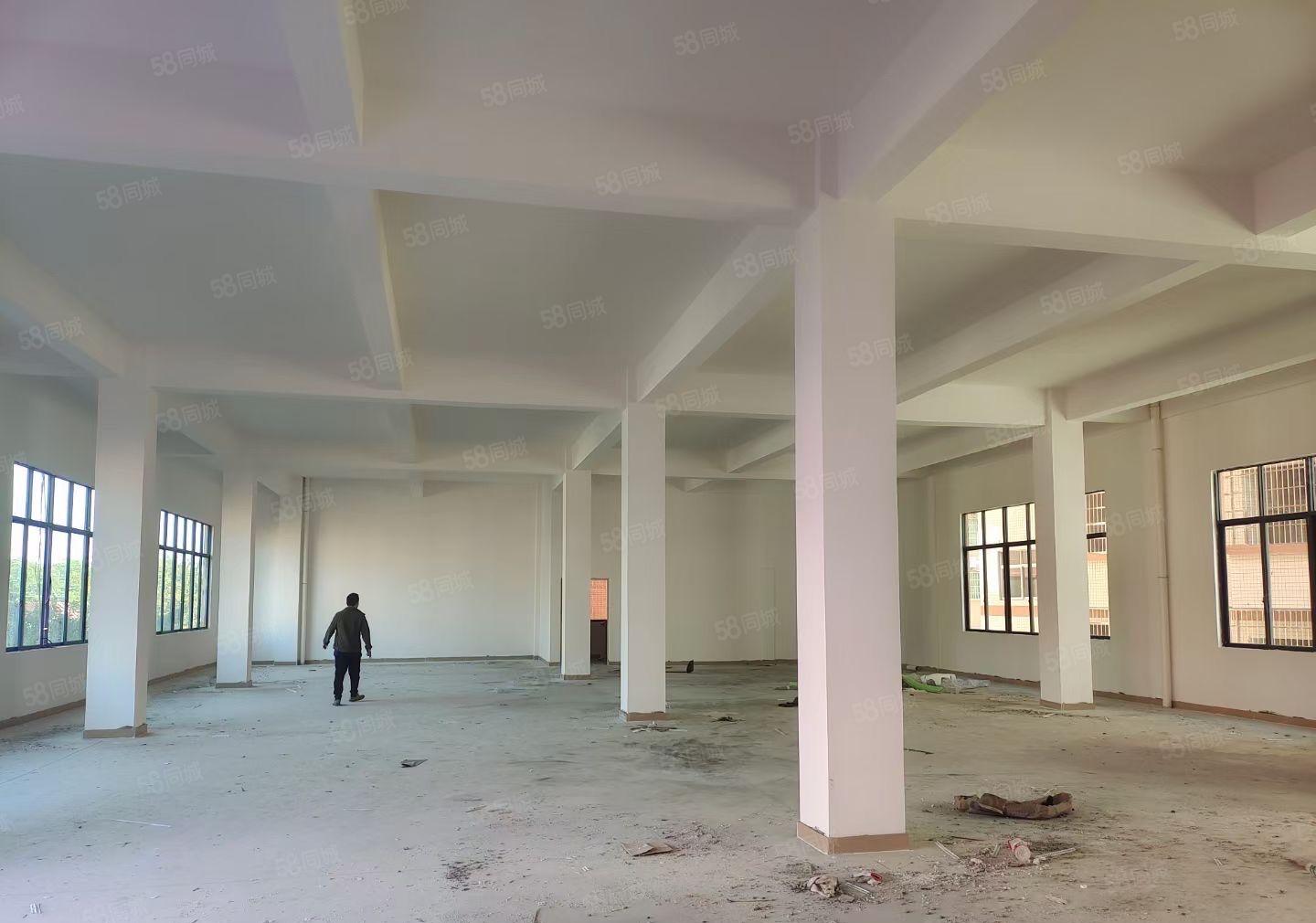 龙背岭原房东全新厂房出租，交通方便，易招工！