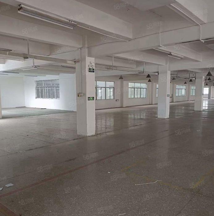 横塘3楼2380方 价格14块14块14块可分租 拎包即可入