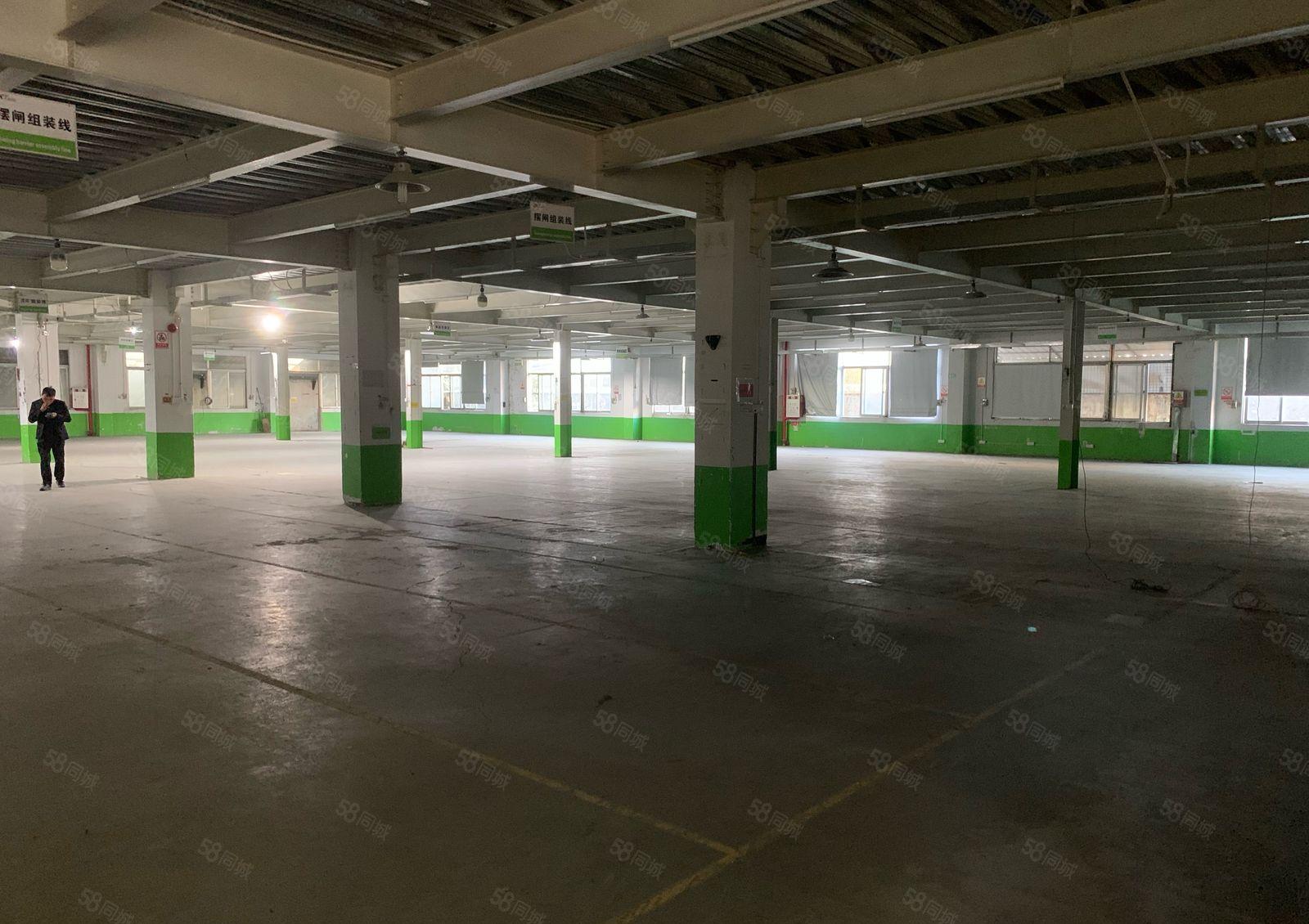 塘厦平山滴水12米高标准钢构独门独院6400平出租